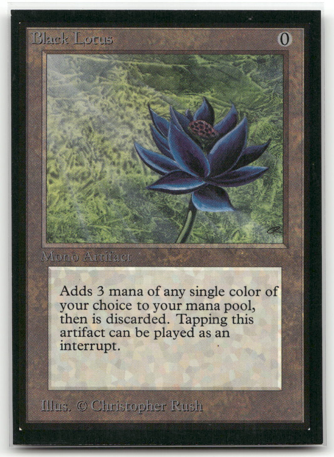 Card image 1