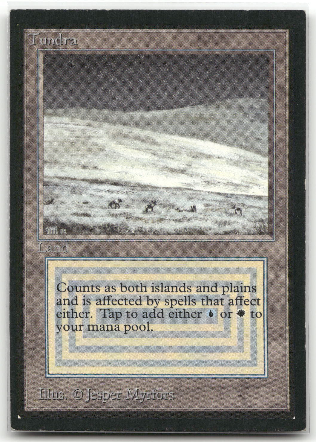 Card image 1