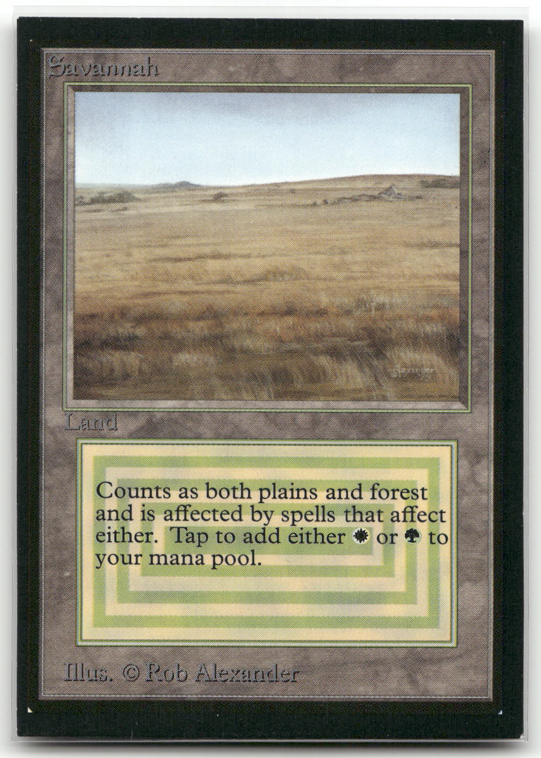 Card image 1