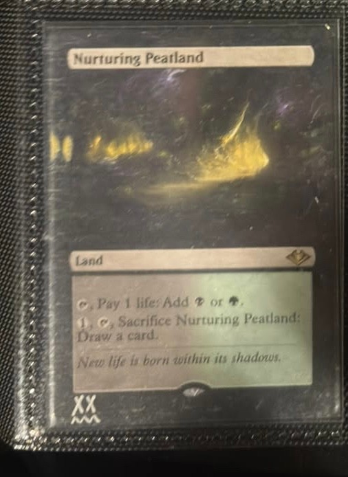 Card photo 1
