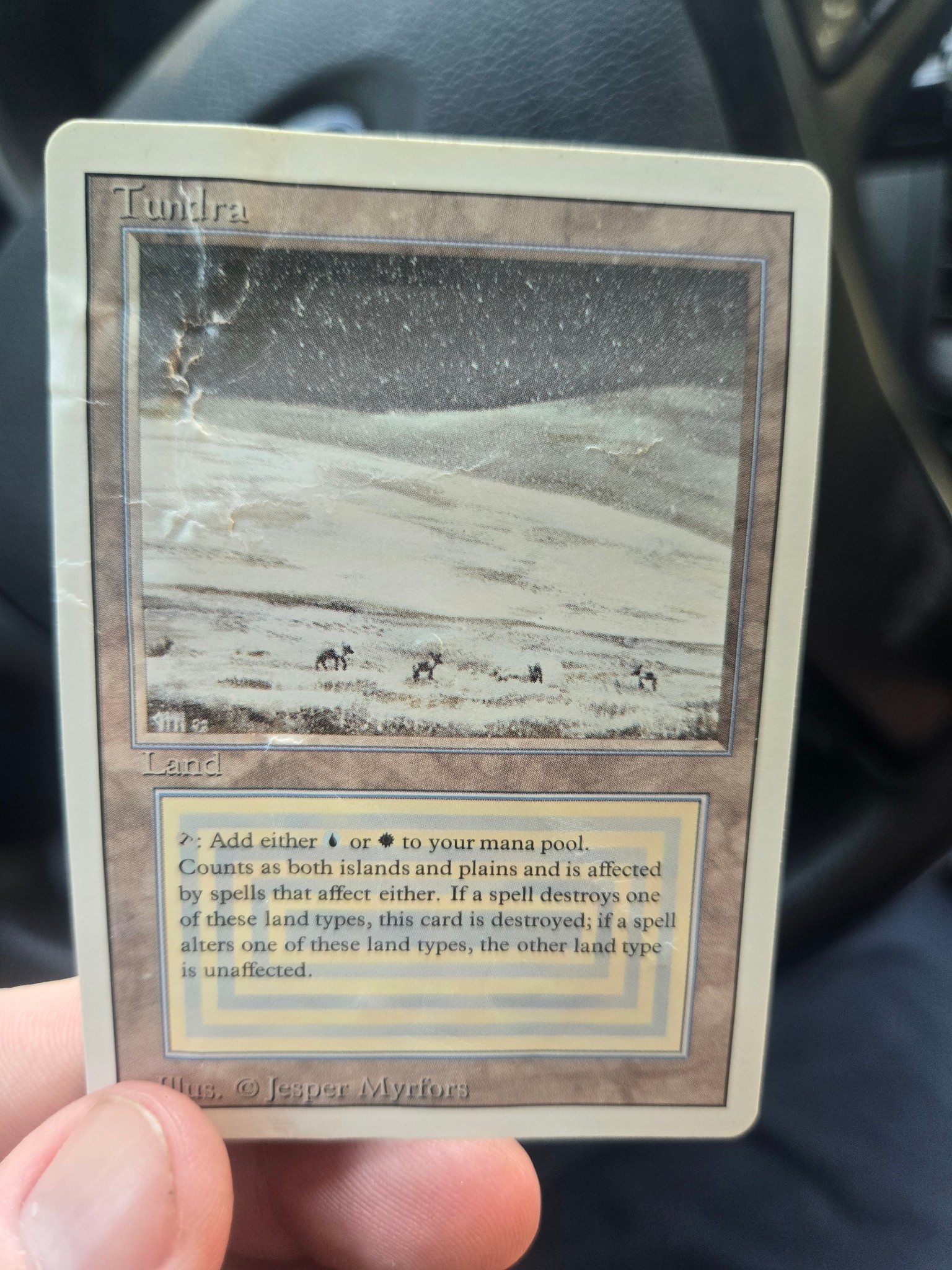 Tundra - Revised Edition