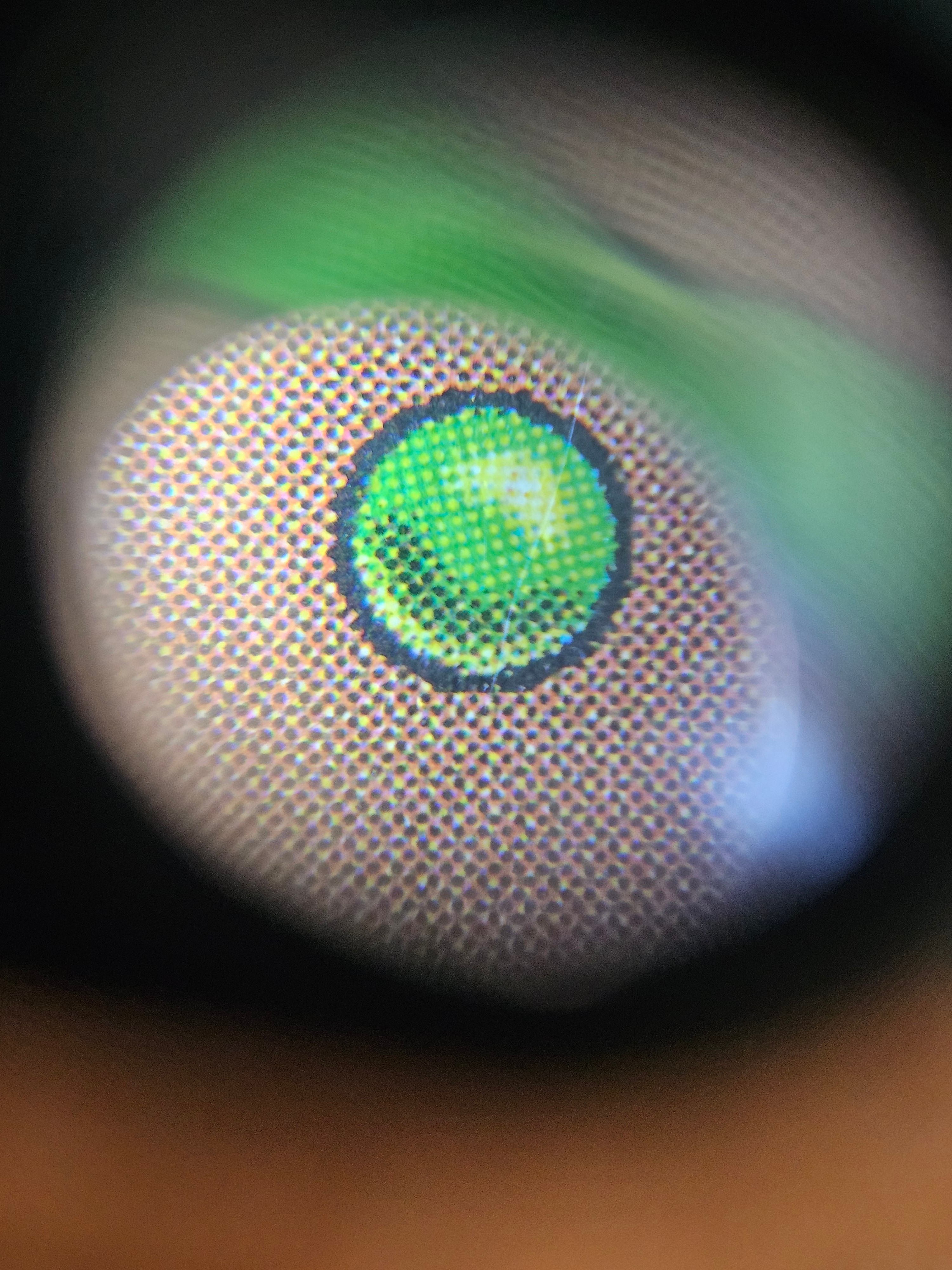 Thumbnail 8