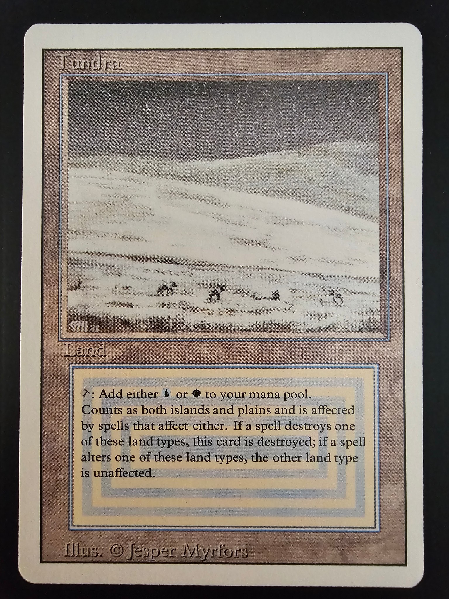 Card photo 1