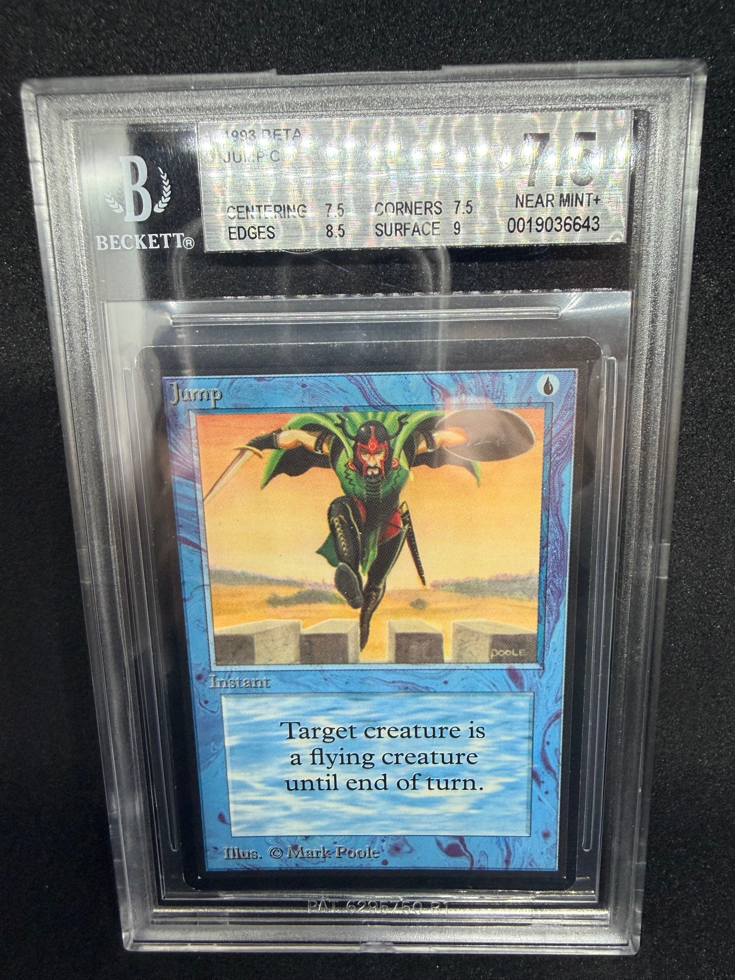 Card photo 1