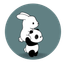 Avatar for user